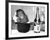 A baby Orangutan at Twycross Zoo-Staff-Framed Photographic Print