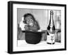 A baby Orangutan at Twycross Zoo-Staff-Framed Photographic Print