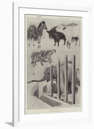 A Baby Show at the Zoo-Cecil Aldin-Framed Giclee Print