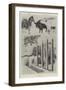 A Baby Show at the Zoo-Cecil Aldin-Framed Premium Giclee Print