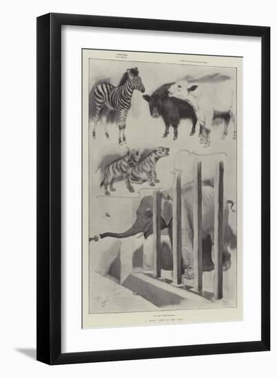 A Baby Show at the Zoo-Cecil Aldin-Framed Premium Giclee Print