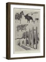 A Baby Show at the Zoo-Cecil Aldin-Framed Giclee Print