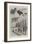 A Baby Show at the Zoo-Cecil Aldin-Framed Giclee Print