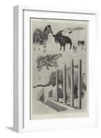 A Baby Show at the Zoo-Cecil Aldin-Framed Giclee Print