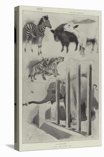 A Baby Show at the Zoo-Cecil Aldin-Stretched Canvas