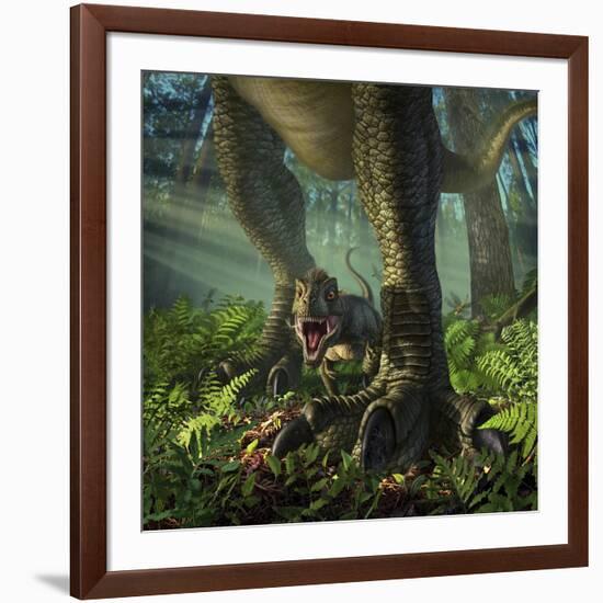 A Baby Tyrannosaurus Rex Roars While Safely Standing Between it's Mother's Legs-null-Framed Art Print