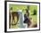 A Baby White Llama-Alanbrito-Framed Premium Photographic Print