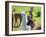 A Baby White Llama-Alanbrito-Framed Photographic Print