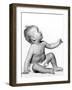 A Baby-null-Framed Photographic Print