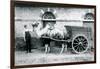 A Bactrian Camel Pulling a Dung Cart at London Zoo, 1913-Frederick William Bond-Framed Photographic Print