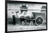 A Bactrian Camel Pulling a Dung Cart at London Zoo, 1913-Frederick William Bond-Framed Photographic Print