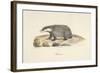 A Badger-Werner-Framed Giclee Print