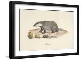 A Badger-Werner-Framed Giclee Print