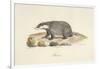 A Badger-Werner-Framed Giclee Print