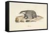 A Badger-Werner-Framed Stretched Canvas