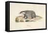 A Badger-Werner-Framed Stretched Canvas