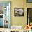 A Bald Eagle from the World Bird Sanctuary Looks on During the Playing of the National Anthem-null-Framed Stretched Canvas displayed on a wall