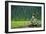 A Bald Eagle Perching on a Dead Tree Scans the Marsh of Bowron Lake-Richard Wright-Framed Photographic Print