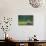 A Bald Eagle Perching on a Dead Tree Scans the Marsh of Bowron Lake-Richard Wright-Photographic Print displayed on a wall