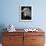 A Bald Eagle Sits in the Shade at the Dallas Zoo-null-Framed Premium Photographic Print displayed on a wall