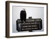 A Bald Eagle Sits on a Sign at the Eagle Feeding and Viewing Area-null-Framed Photographic Print
