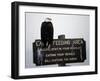 A Bald Eagle Sits on a Sign at the Eagle Feeding and Viewing Area-null-Framed Photographic Print