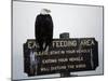 A Bald Eagle Sits on a Sign at the Eagle Feeding and Viewing Area-null-Mounted Photographic Print