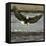 A Bald Eagle Swoops Down for a Landing While Looking for Fish-null-Framed Stretched Canvas