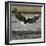 A Bald Eagle Swoops Down for a Landing While Looking for Fish-null-Framed Premium Photographic Print