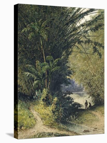 A Bamboo Grove in Trinidad-Jean-michel Cazabon-Stretched Canvas