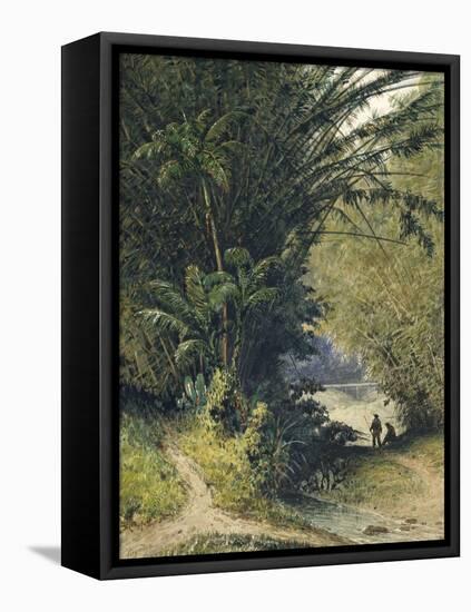A Bamboo Grove in Trinidad-Jean-michel Cazabon-Framed Stretched Canvas
