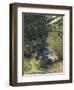 A Bamboo Grove in Trinidad-Jean-michel Cazabon-Framed Giclee Print