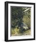 A Bamboo Grove in Trinidad-Jean-michel Cazabon-Framed Giclee Print