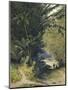 A Bamboo Grove in Trinidad-Jean-michel Cazabon-Mounted Giclee Print