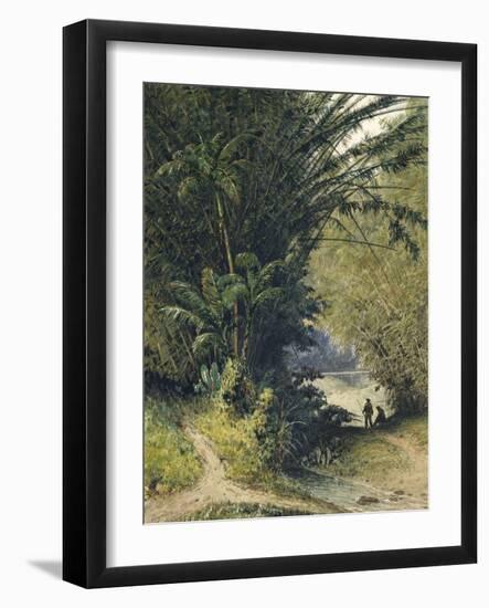 A Bamboo Grove in Trinidad-Jean-michel Cazabon-Framed Giclee Print