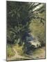 A Bamboo Grove in Trinidad-Jean-michel Cazabon-Mounted Giclee Print