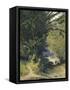 A Bamboo Grove in Trinidad-Jean-michel Cazabon-Framed Stretched Canvas