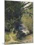 A Bamboo Grove in Trinidad-Jean-michel Cazabon-Mounted Giclee Print