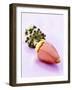 A Banana Flower-Armin Zogbaum-Framed Photographic Print