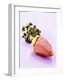 A Banana Flower-Armin Zogbaum-Framed Photographic Print