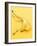 A Banana Skin-Axel Struwe-Framed Photographic Print