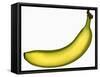 A Banana-Steven Morris-Framed Stretched Canvas
