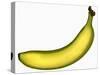 A Banana-Steven Morris-Stretched Canvas