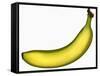 A Banana-Steven Morris-Framed Stretched Canvas