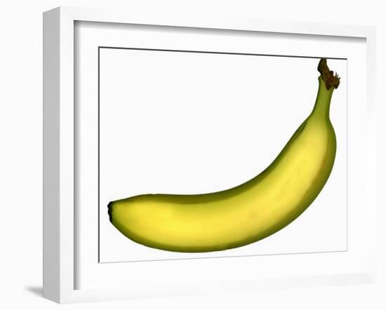 A Banana-Steven Morris-Framed Photographic Print