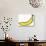 A Banana-Steven Morris-Photographic Print displayed on a wall