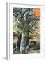 A Baobab in Togo, 1901-null-Framed Giclee Print