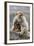 A Barbary Macaque Baby Feeding in the Arms of the Mother-Joe Petersburger-Framed Photographic Print