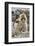 A Barbary Macaque Baby on the Back of the Mother Animal-Joe Petersburger-Framed Photographic Print