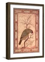 A Barbet (Himalayan Blue-Throated Bird) Jahangir Period, Mughal, 1615-Ustad Mansur-Framed Giclee Print